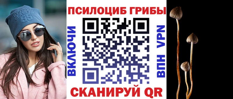 Галлюциногенные грибы ЛСД  Боровичи 