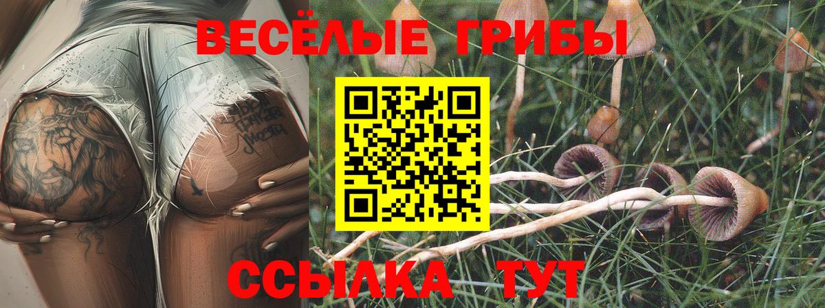 Боровичи  Псилоцибиновые грибы ЛСД  Вход с VPN  Псилоцибиновые грибы MAGIC MUSHROOMS 